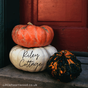 Personalised House Name Pumpkin Decoration